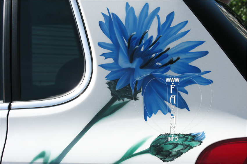 Аэрография "Василек"  на одном элементе белого автомобиля VW Tiguan, фото 06.