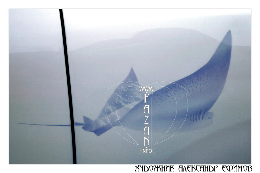 Аэрография на автомобиле Lexus RX 450. Подводный мир и дельфины. Фото 29.